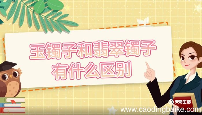 玉镯子和翡翠镯子有什么区别 玉镯子和翡翠镯子的区别