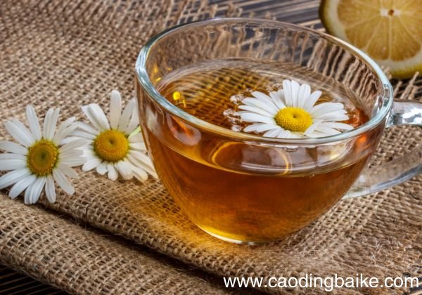 洋甘菊能去痘印吗 洋甘菊有哪些作用