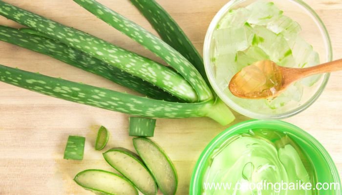 芦荟直接涂脸上可以吗芦荟能不能直接涂脸上