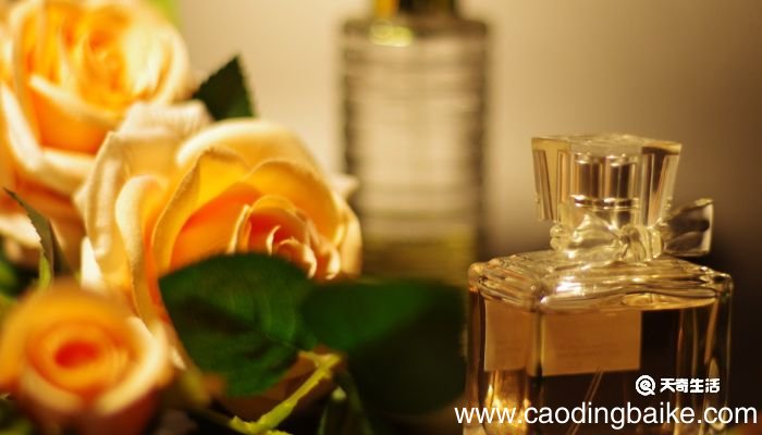 兰蔻哪个国家的 兰蔻旗下的护肤品有哪些品牌