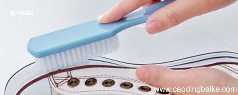 刷鞋子用什么刷的干净 刷鞋子用什么可以刷干净