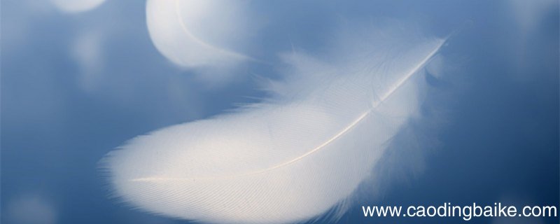 羽绒90.80.70绒的区别 羽绒90.80.70绒的区别是什么