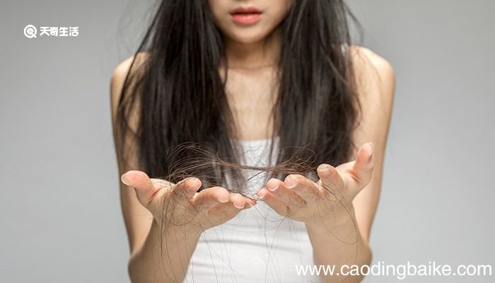 冬天头发干燥怎么护理 冬天头发干燥的护理方法