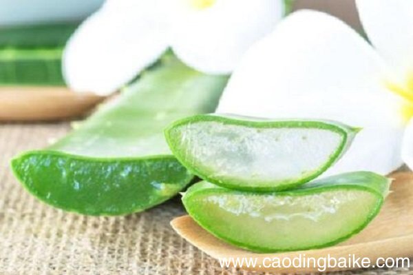 自制面膜去暗疮