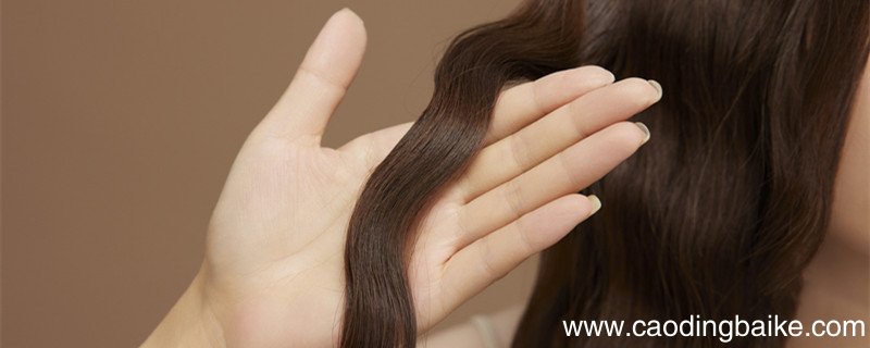 头发上色是干头发还是湿头发 头发上色前要湿的还是干着