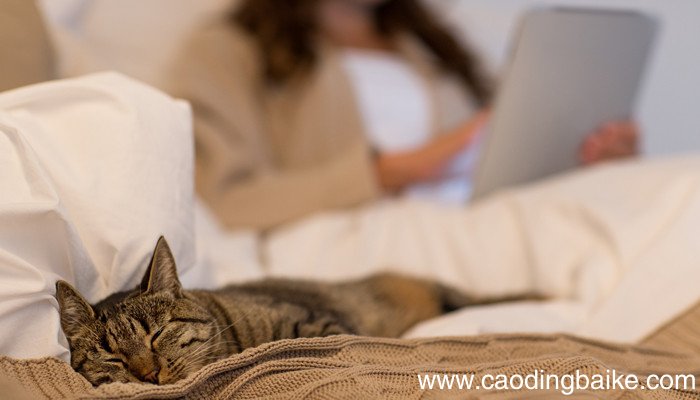 云毯是什么面料 云毯是啥面料