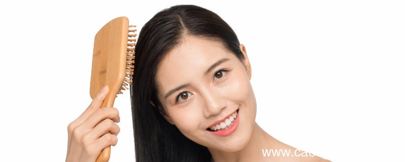 气垫梳怎么清理气垫梳的清理方法