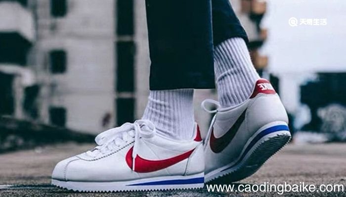 37.5是多少码的鞋子 37.5的鞋子是多少码