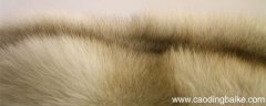 环保貂和真貂皮的区别 环保貂和真貂怎么区分