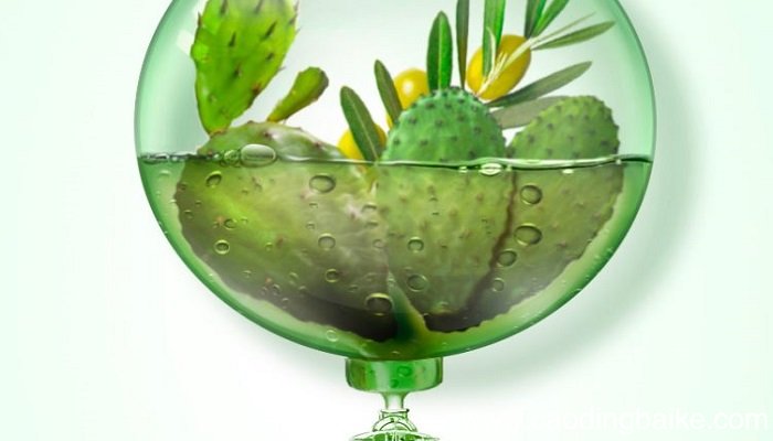 仙人掌面膜对肌肤有哪些作用 仙人掌面膜有什么功效