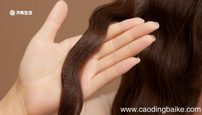 如何用啤酒洗头 怎样用啤酒洗头发正确方法