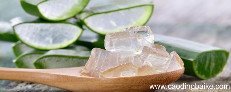 4种自制芦荟护肤品打造靓丽肌肤 自制芦荟护肤品怎么做