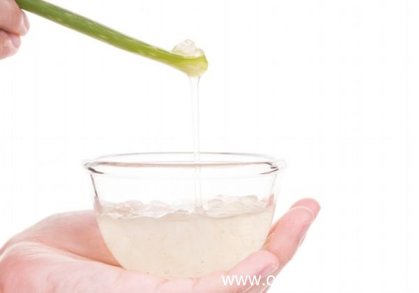 4种自制芦荟护肤品打造靓丽肌肤 自制芦荟护肤品怎么做