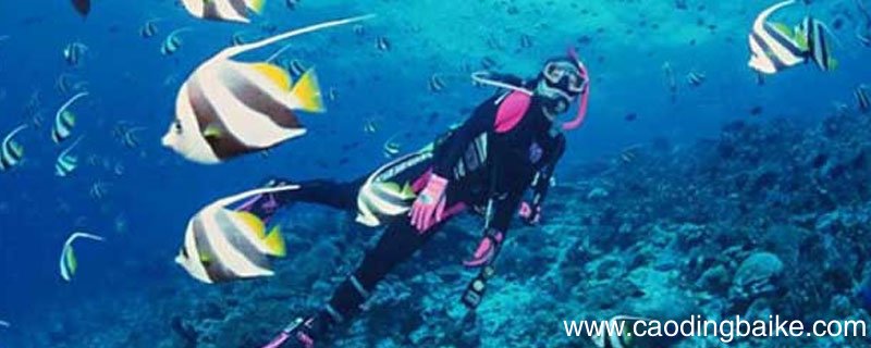 潜水服里面要穿什么潜水服中可以穿什么