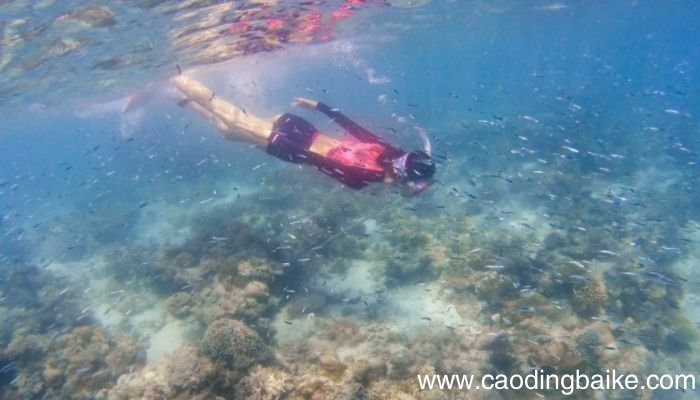 潜水服里面要穿什么潜水服中可以穿什么