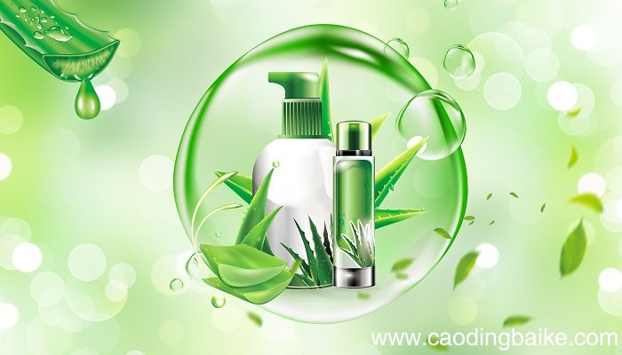 芦荟可以天天敷脸吗 芦荟涂脸的正确方法