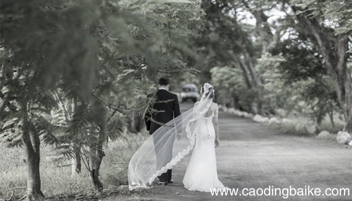 婚纱是男方买还是女方买 结婚婚纱是男方买还是女方买