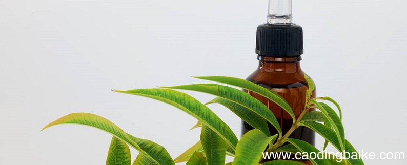 马齿苋提取物对皮肤的作用 马齿苋提取液功效