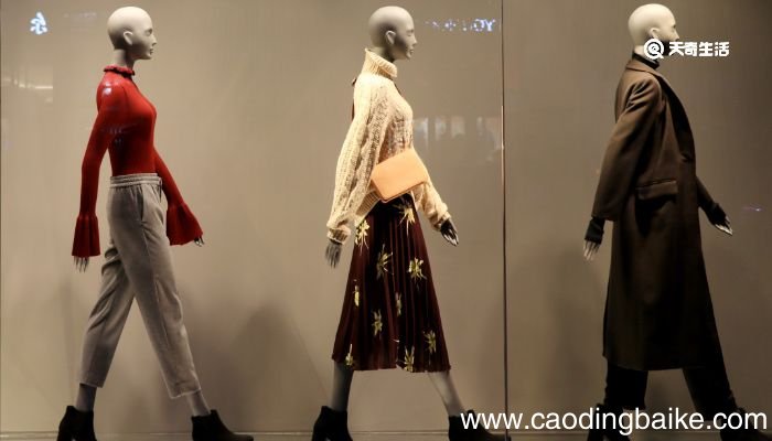 zv是什么品牌 zv是什么品牌的衣服