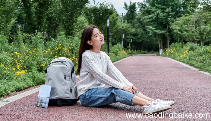 安纳海姆与经典款区别 安纳海姆与经典款的区别