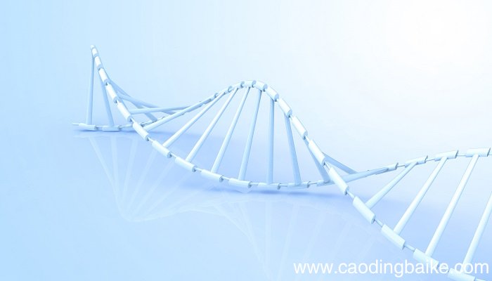 nmn和nad+的区别 nmn和nadh的区别