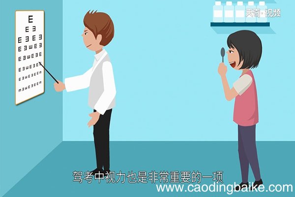 驾照体检