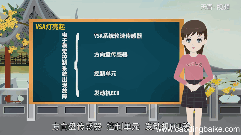 VSA灯亮是什么意思 VSA灯亮的意思