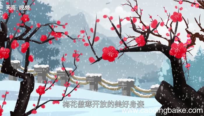 卜算子咏梅赏析 卜算子咏梅赏析意思