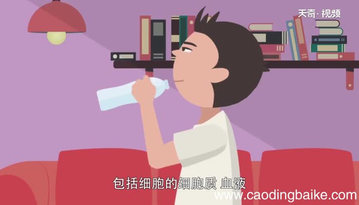 盐的化学性质 盐的四种化学性质