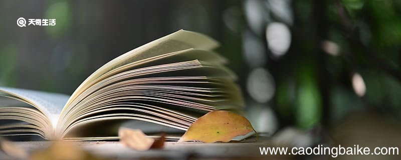 纵目四望造句 纵目四望造句句子