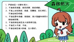 森林防火手抄报内容,森林防火手抄报内容画法