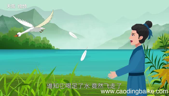 千里送鹅毛歇后语 千里送鹅毛歇后语下一句