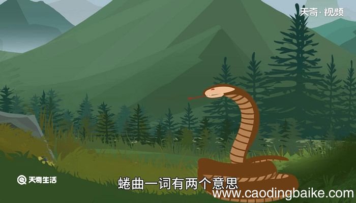 蜷曲的意思 蜷曲是什么意思