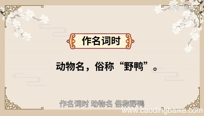 凫怎么读 怎么读凫字