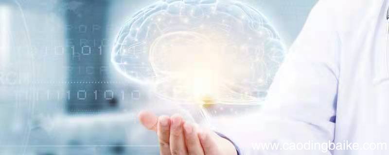 什么思维是创造性思维的主导成分 什么思维是创造性思维的主要成分