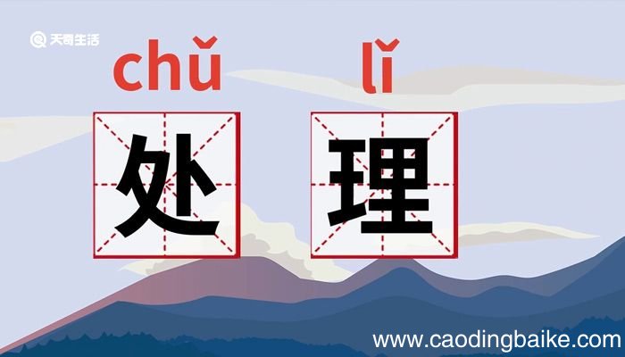 处理的意思 处理是什么意思
