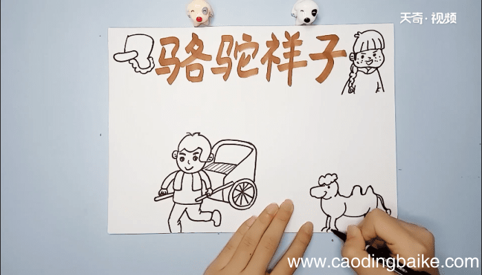 骆驼祥子手抄报 骆驼祥子画报