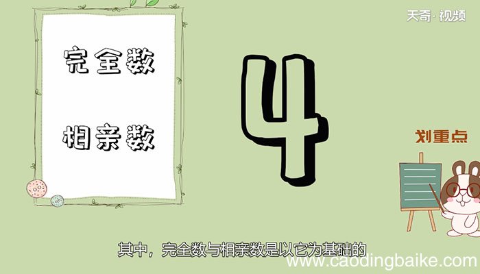 合数的定义合数的定义是什么