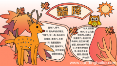 关于霜降的手抄报 霜降的手抄报怎么画