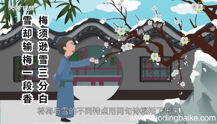 雪梅古诗的意思 雪梅古诗是什么意思