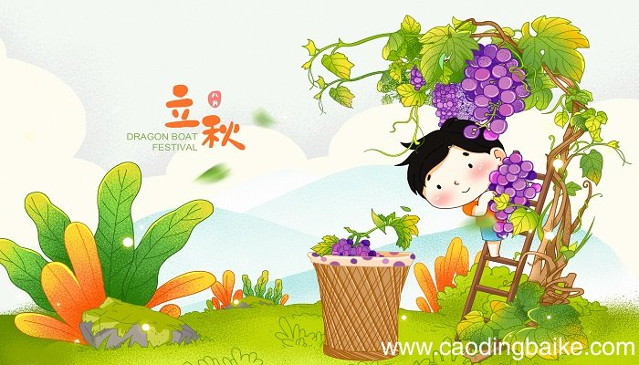 葡萄挂满枝头的诗句 葡萄挂满枝头的诗句有哪些