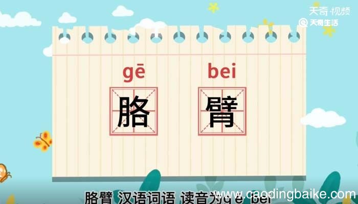 胳臂的意思 胳臂什么意思