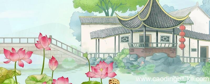 绝句江碧鸟逾白古诗翻译绝句江碧鸟逾白古诗翻译是什么