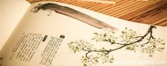 逍遥游翻译一句一译 逍遥游翻译一句一译学生版