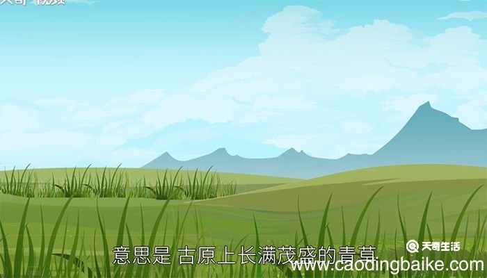 赋得古原草送别赏析 赋得古原草送别原文