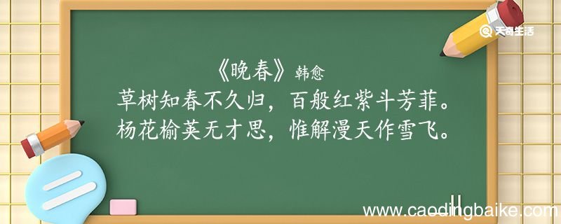 晚春翻译全文 晚春的翻译