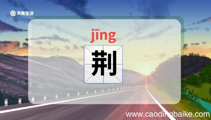 荆怎么读 荆的读音怎么读