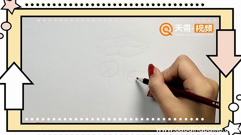 荷叶简笔画
