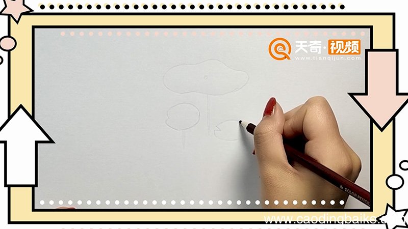 荷叶简笔画