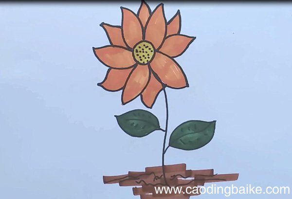 小雏菊的简笔画